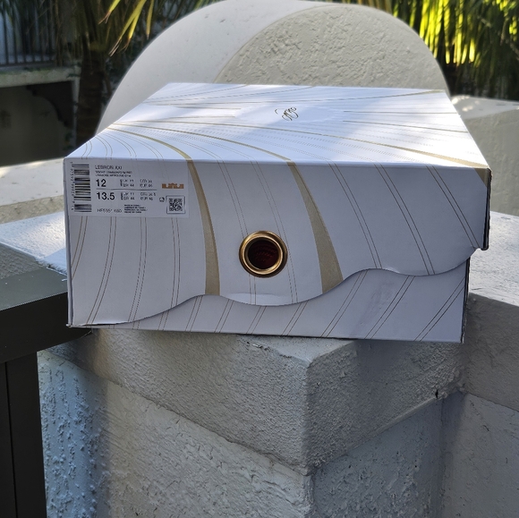 Size 12 - Lebron 21 XXI 'James Gang' - Picture 8 of 8